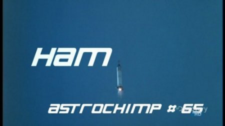 :    65 / Ham Astrochimp  65